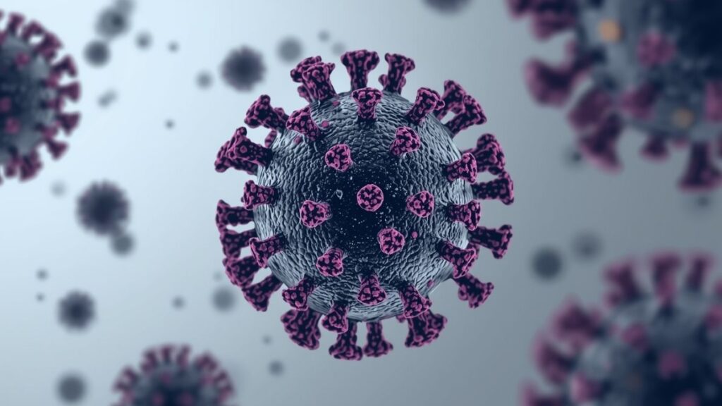 Como ocorre a transmissão do vírus Nipah