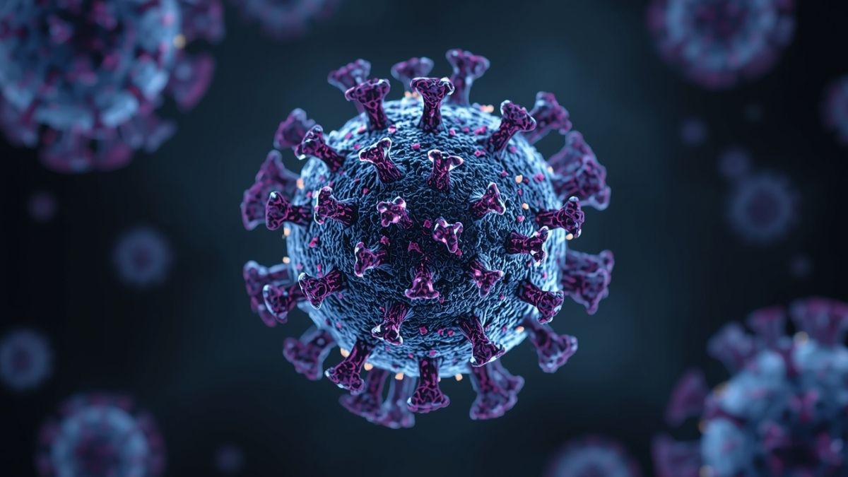 Vírus Nipah o que é a doença, sintomas, riscos e por que o mundo está em alerta